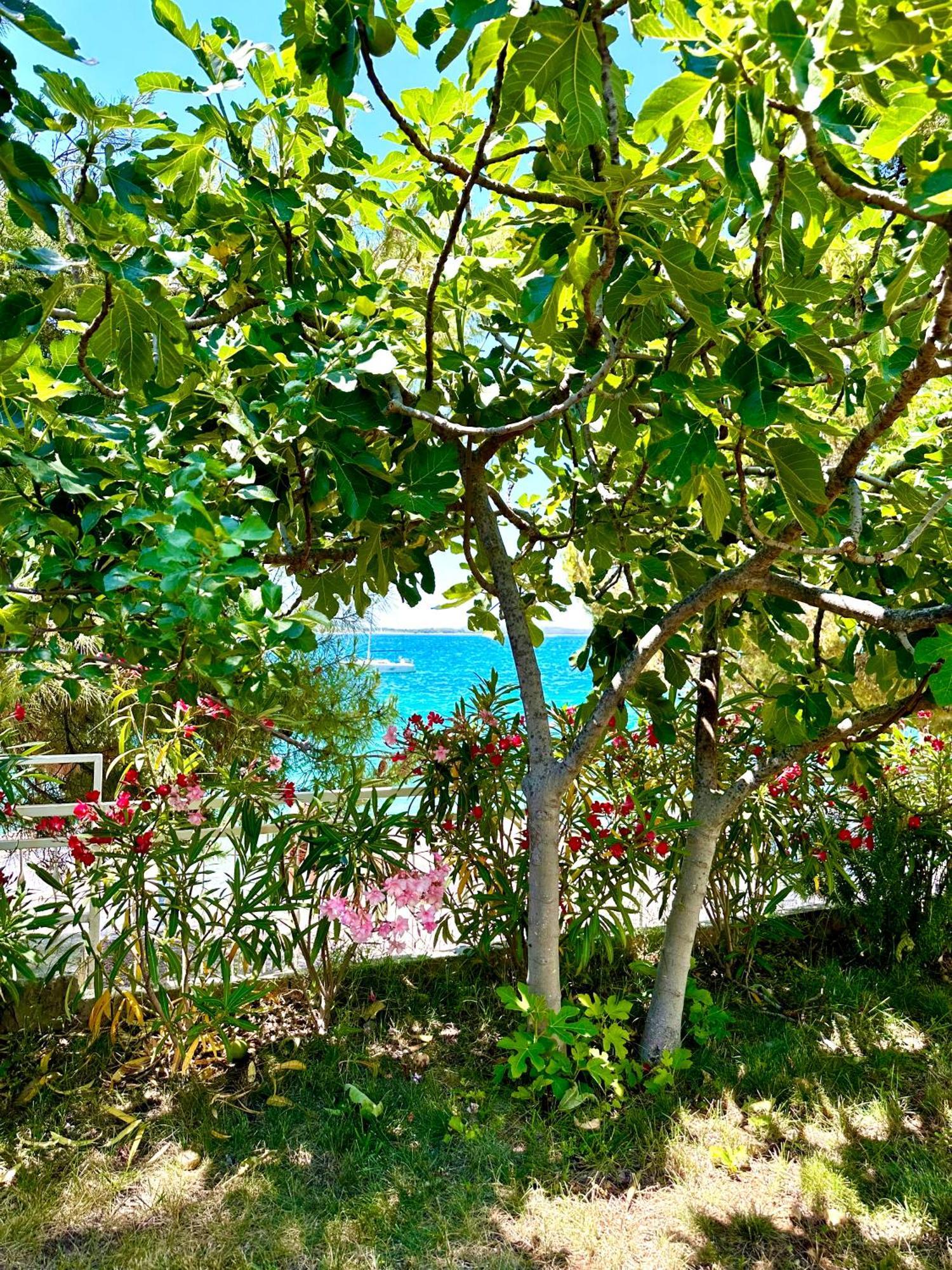 Perla&Palma Villa Zaboric Bagian luar foto